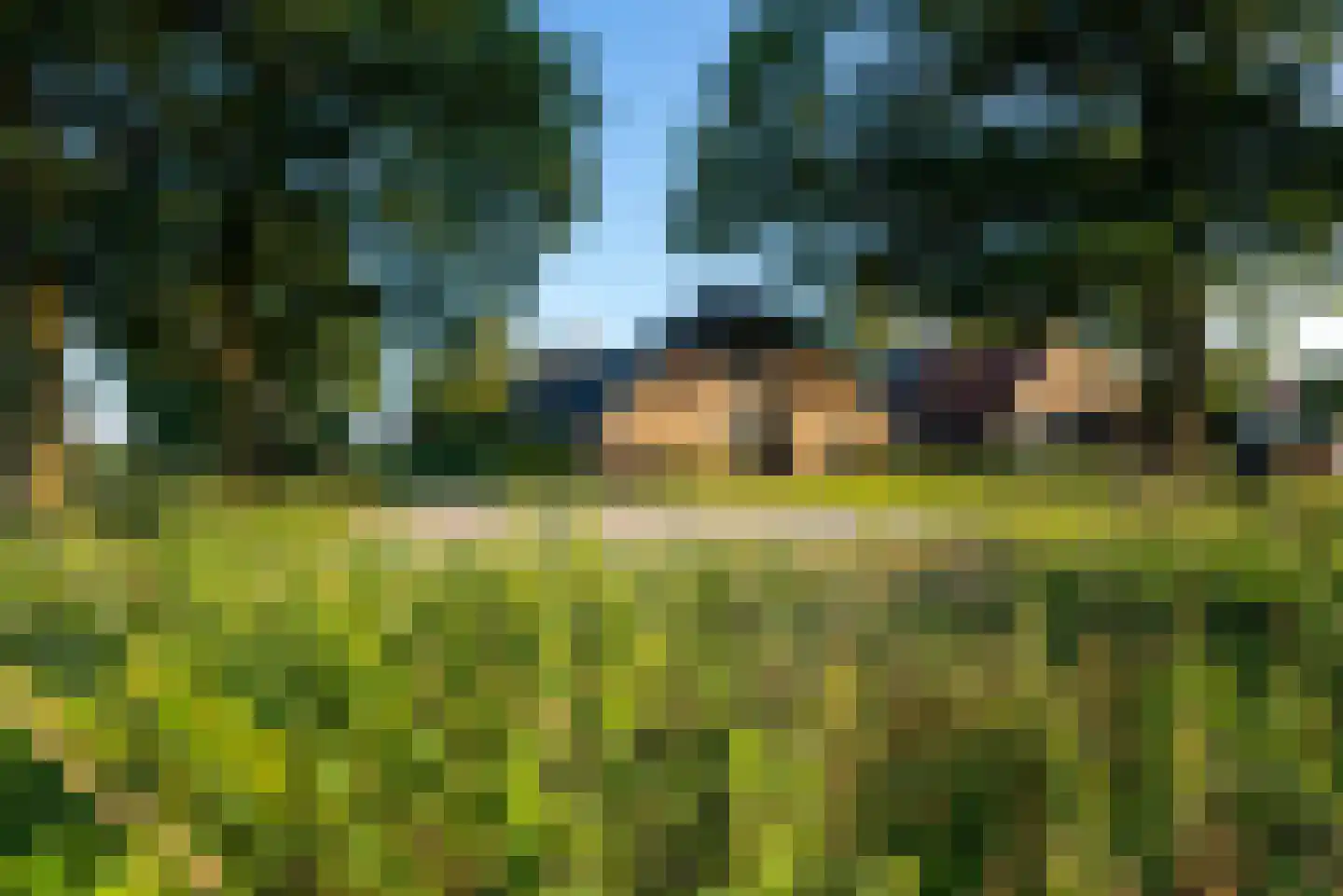 Borculoseweg 112 Neede thumbnail 86