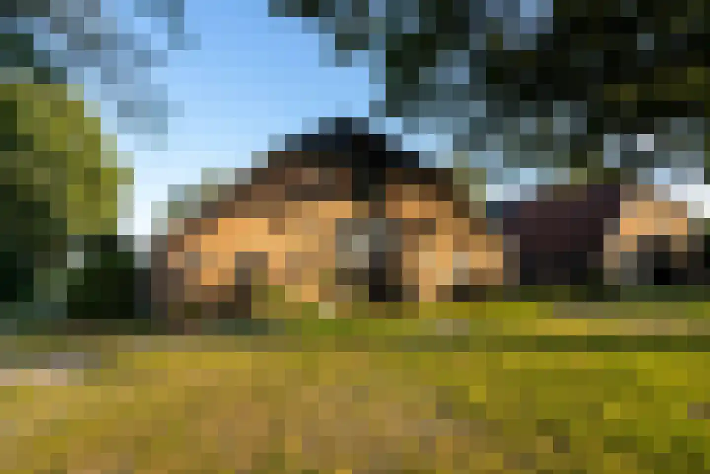 Borculoseweg 112 Neede thumbnail 86