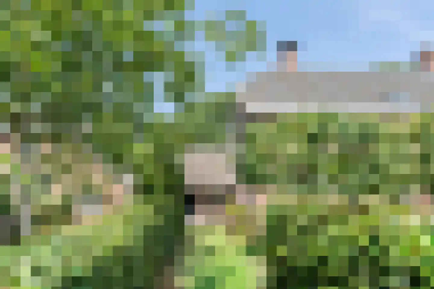 Borculoseweg 112 Neede thumbnail 88