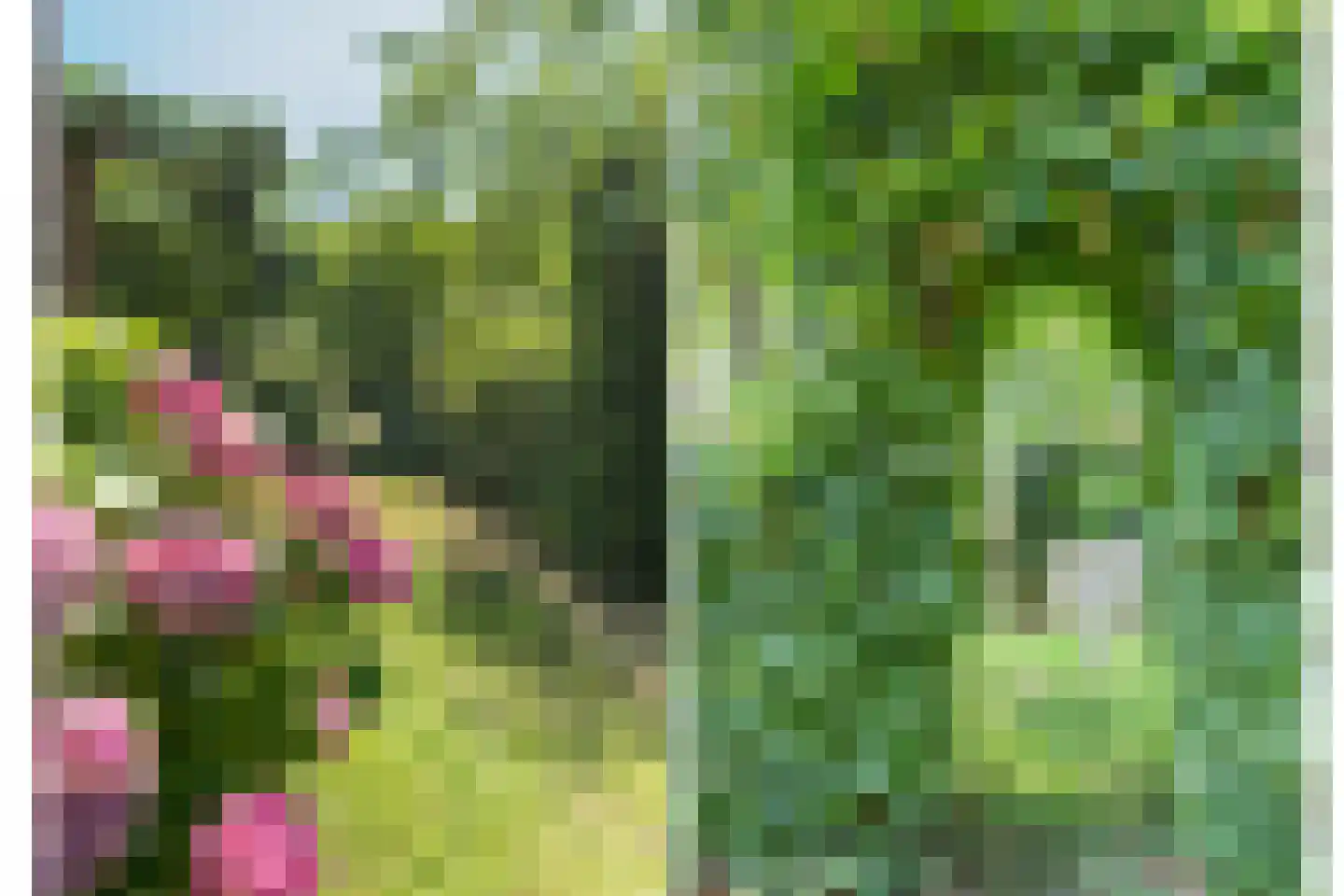 Borculoseweg 112 Neede thumbnail 89