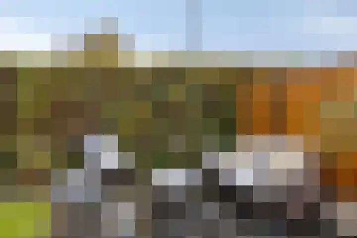 Borculoseweg 2 a Diepenheim thumbnail 39