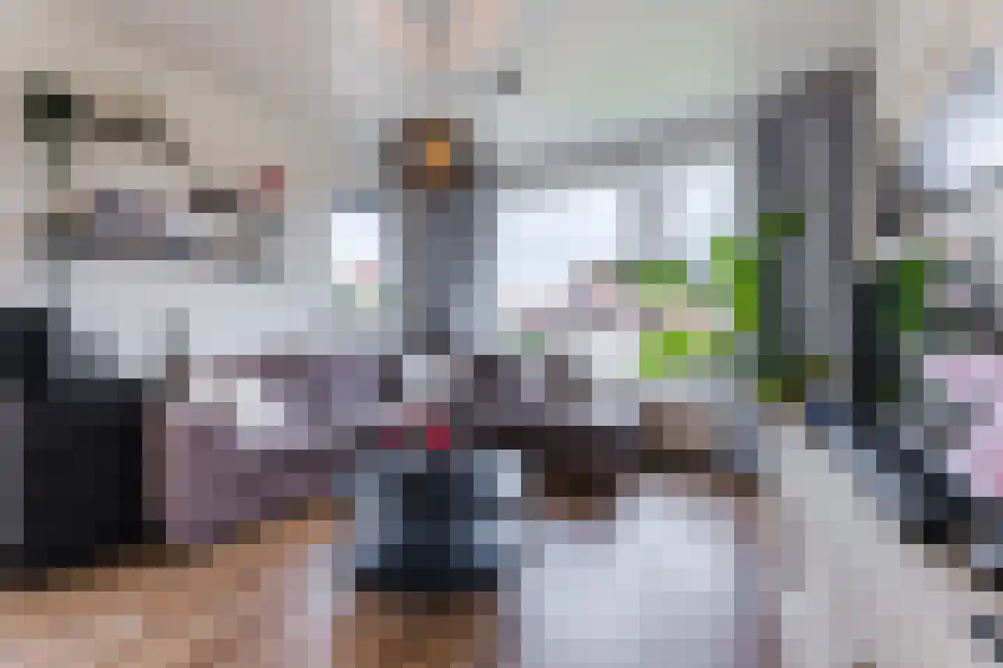 Borculoseweg 29 Ruurlo thumbnail 11