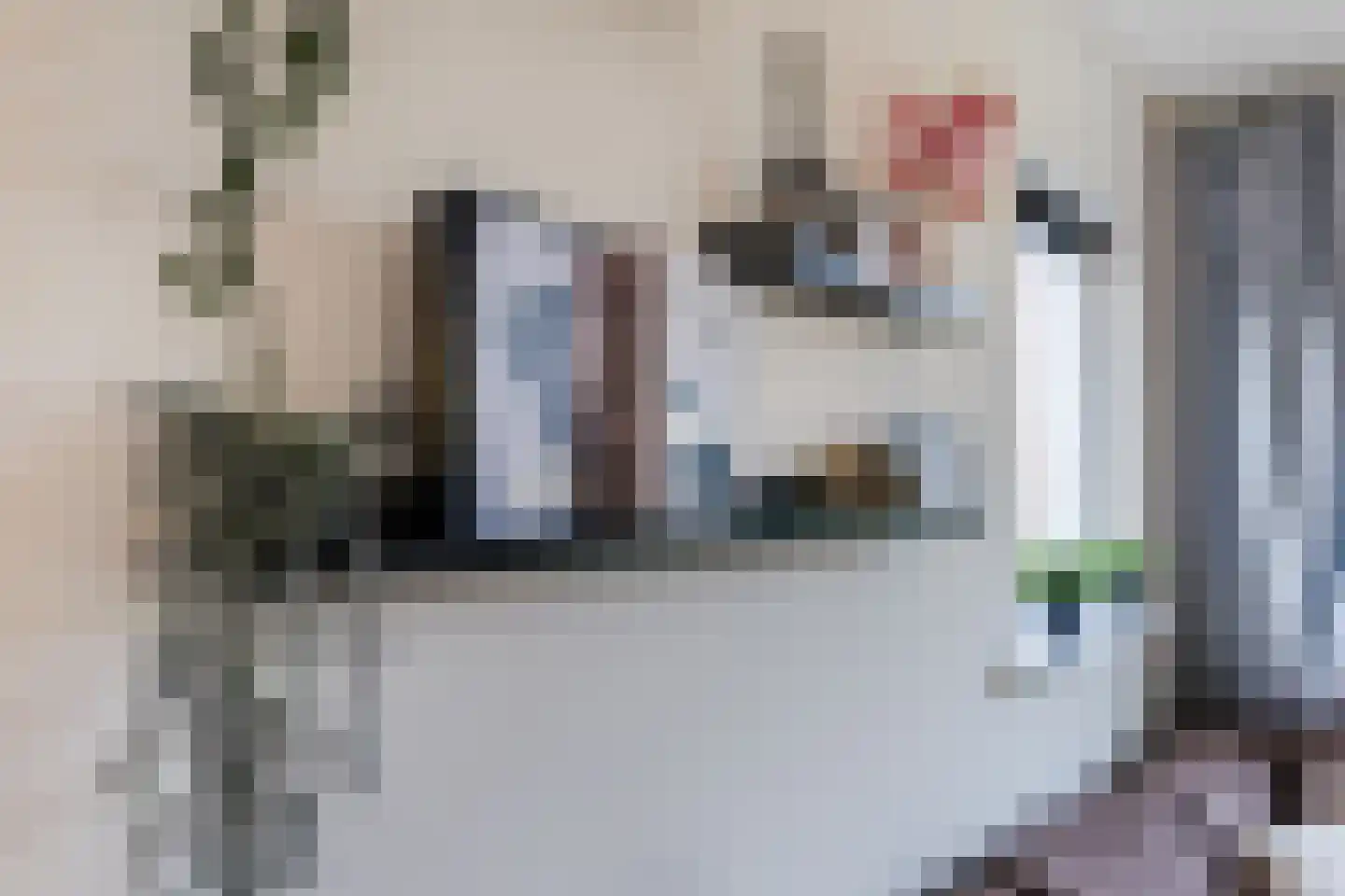 Borculoseweg 29 Ruurlo thumbnail 12
