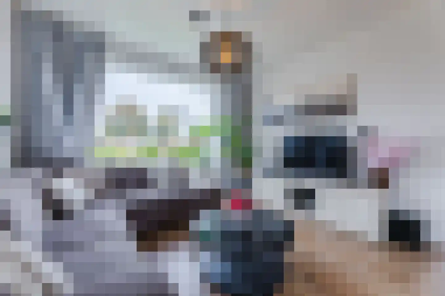 Borculoseweg 29 Ruurlo thumbnail 13