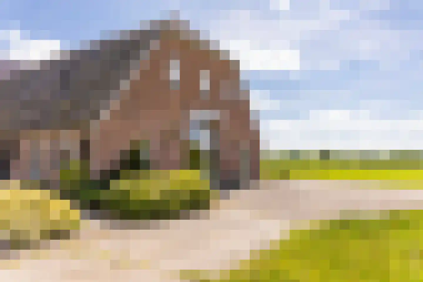 Borculoseweg 30 Barchem thumbnail 20