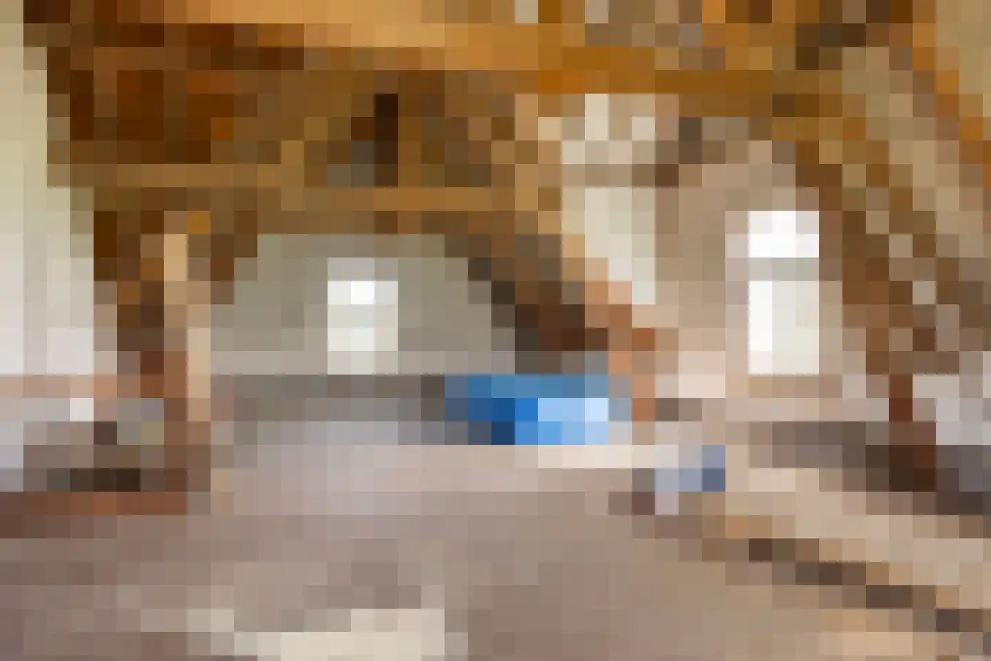 Borculoseweg 30 Barchem thumbnail 28