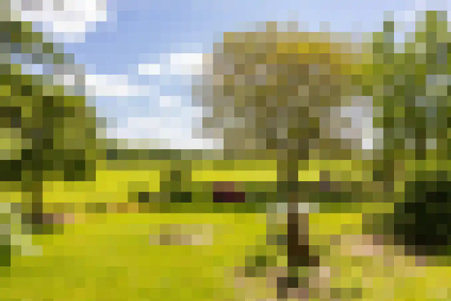 Borculoseweg 30 Barchem thumbnail 34