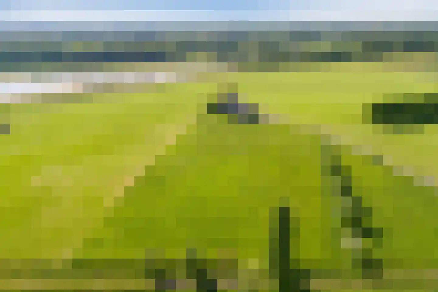 Borculoseweg 30 Barchem thumbnail 35