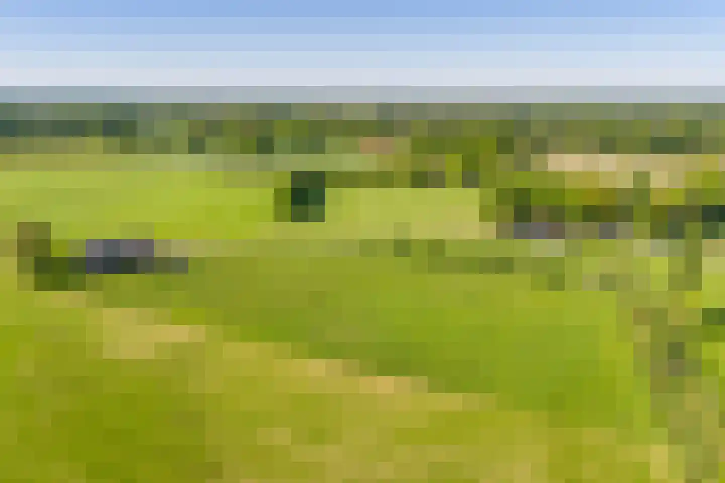 Borculoseweg 30 Barchem thumbnail 36