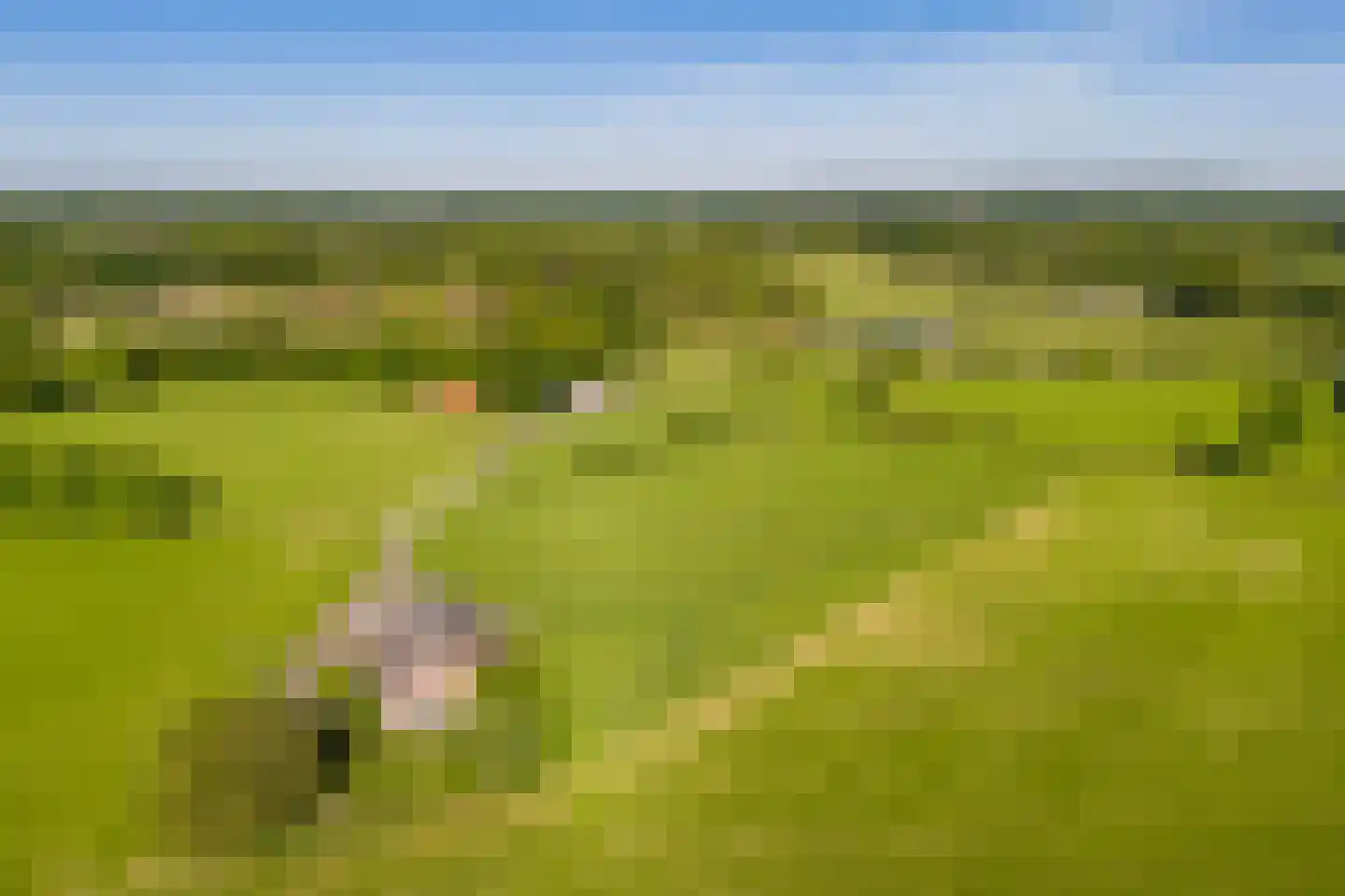 Borculoseweg 30 Barchem thumbnail 37