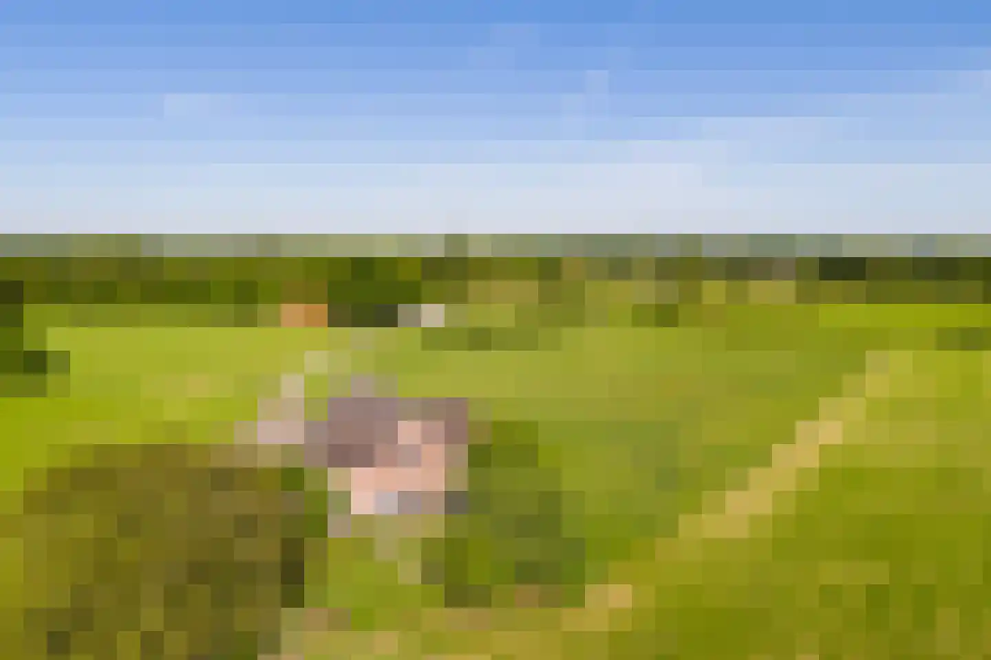 Borculoseweg 30 Barchem thumbnail 38