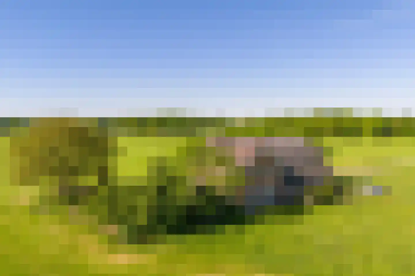 Borculoseweg 30 Barchem thumbnail 39