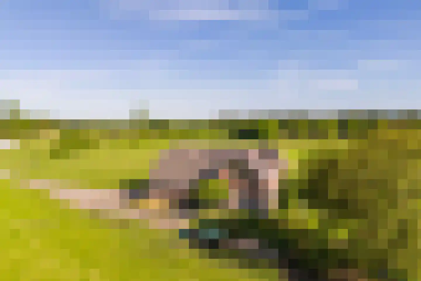Borculoseweg 30 Barchem thumbnail 40