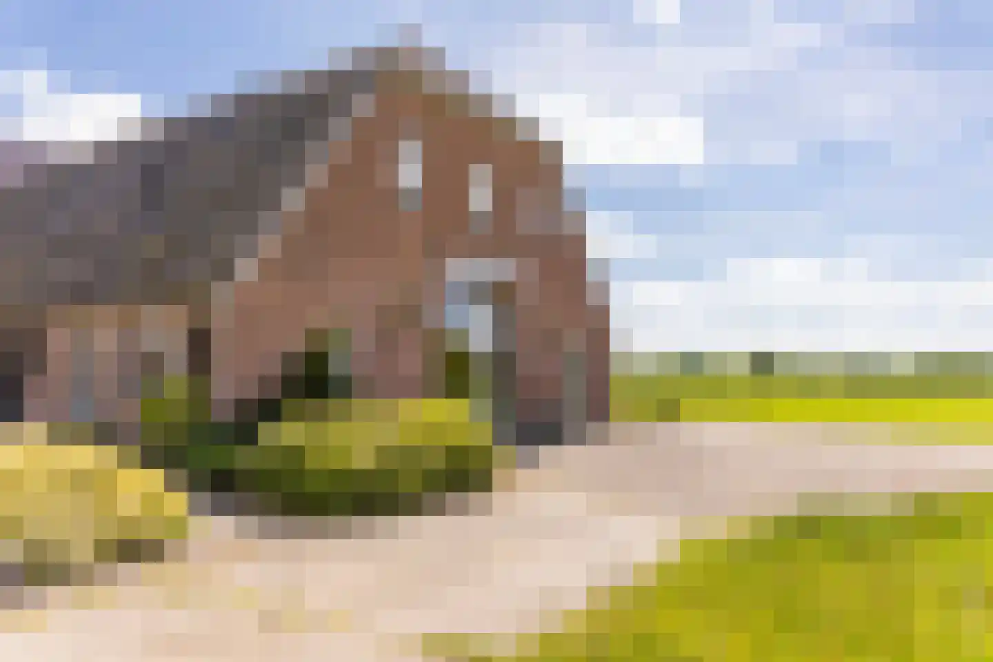 Borculoseweg 30 Barchem thumbnail 44