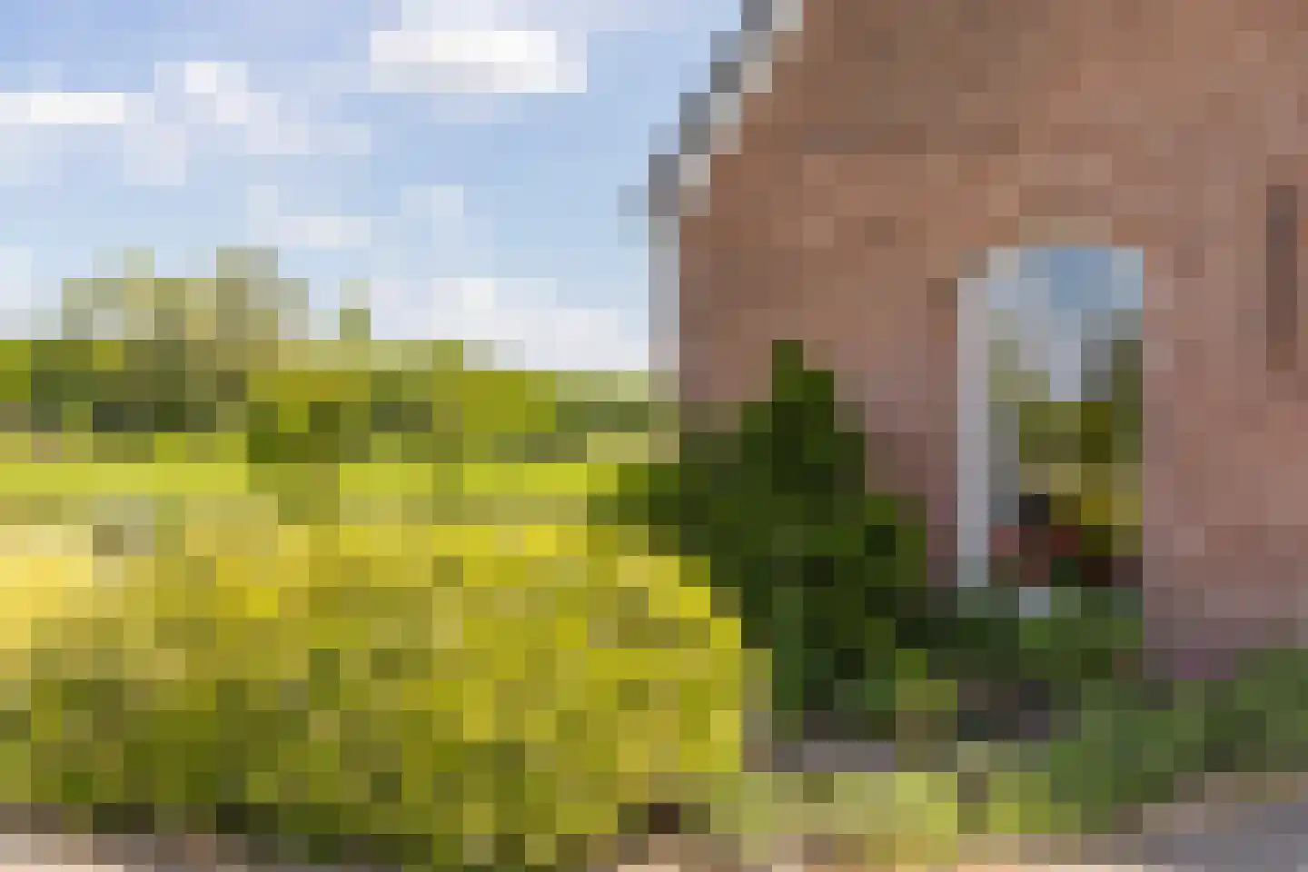 Borculoseweg 30 Barchem thumbnail 45
