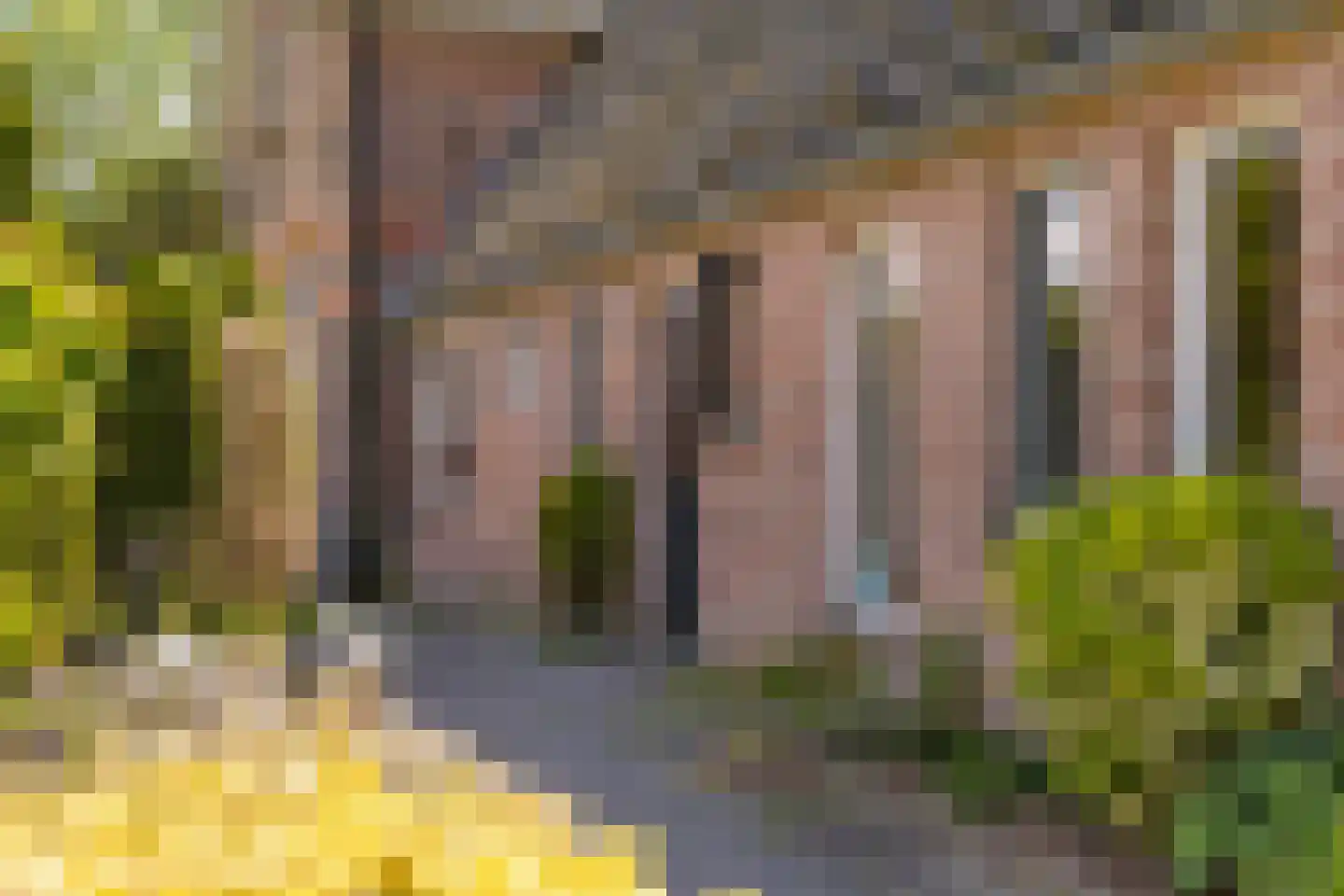Borculoseweg 30 Barchem thumbnail 46