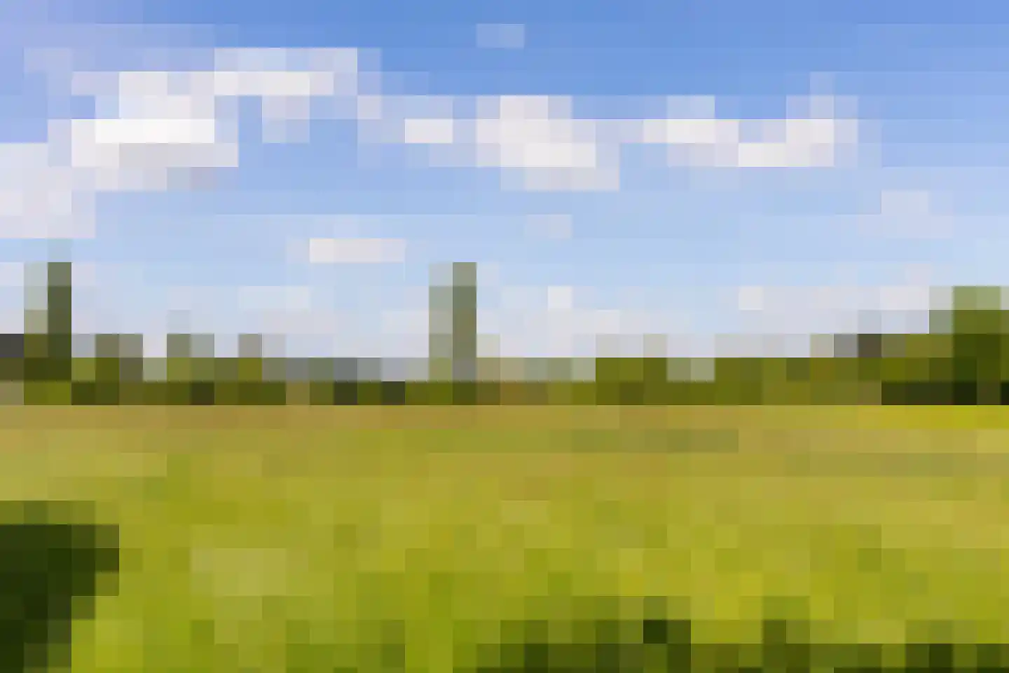 Borculoseweg 30 Barchem thumbnail 48