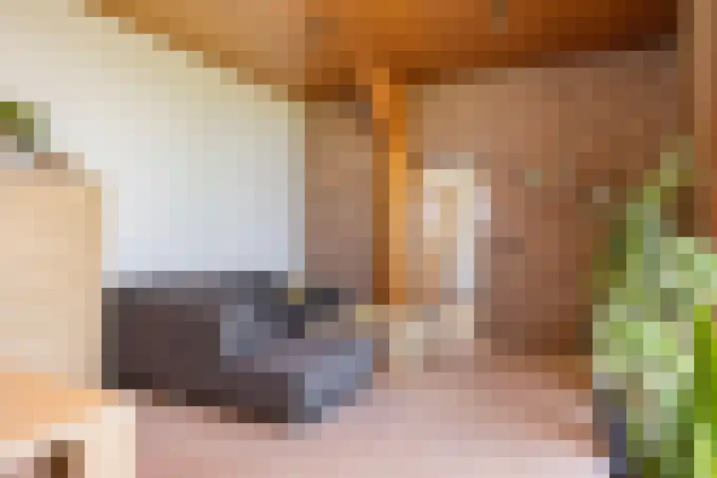 Borculoseweg 30 Barchem thumbnail 7
