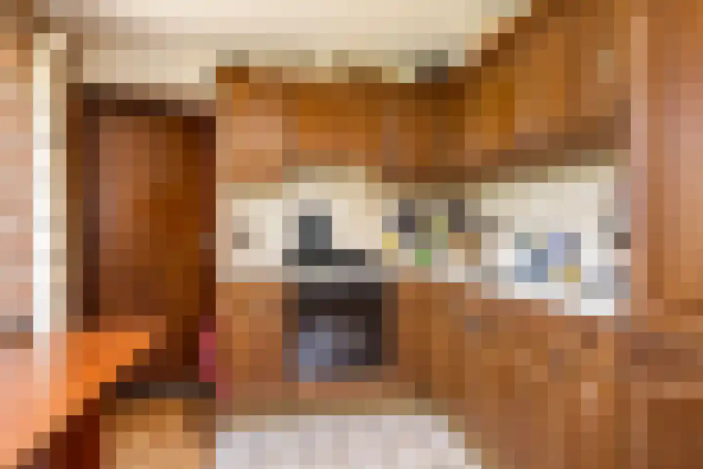 Borculoseweg 30 Barchem thumbnail 8