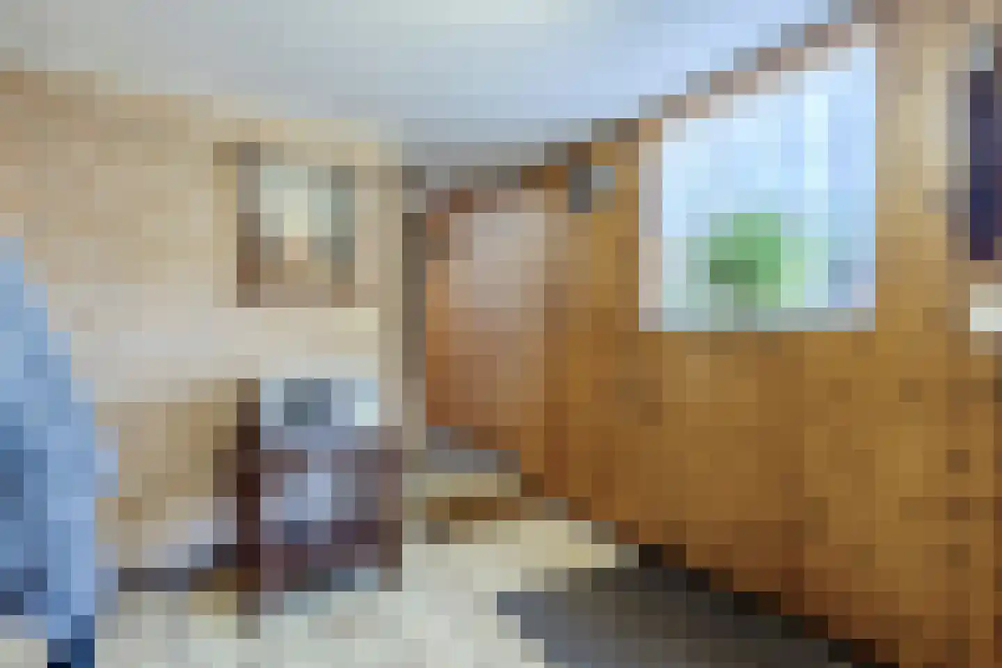 Borculoseweg 36 Barchem thumbnail 17