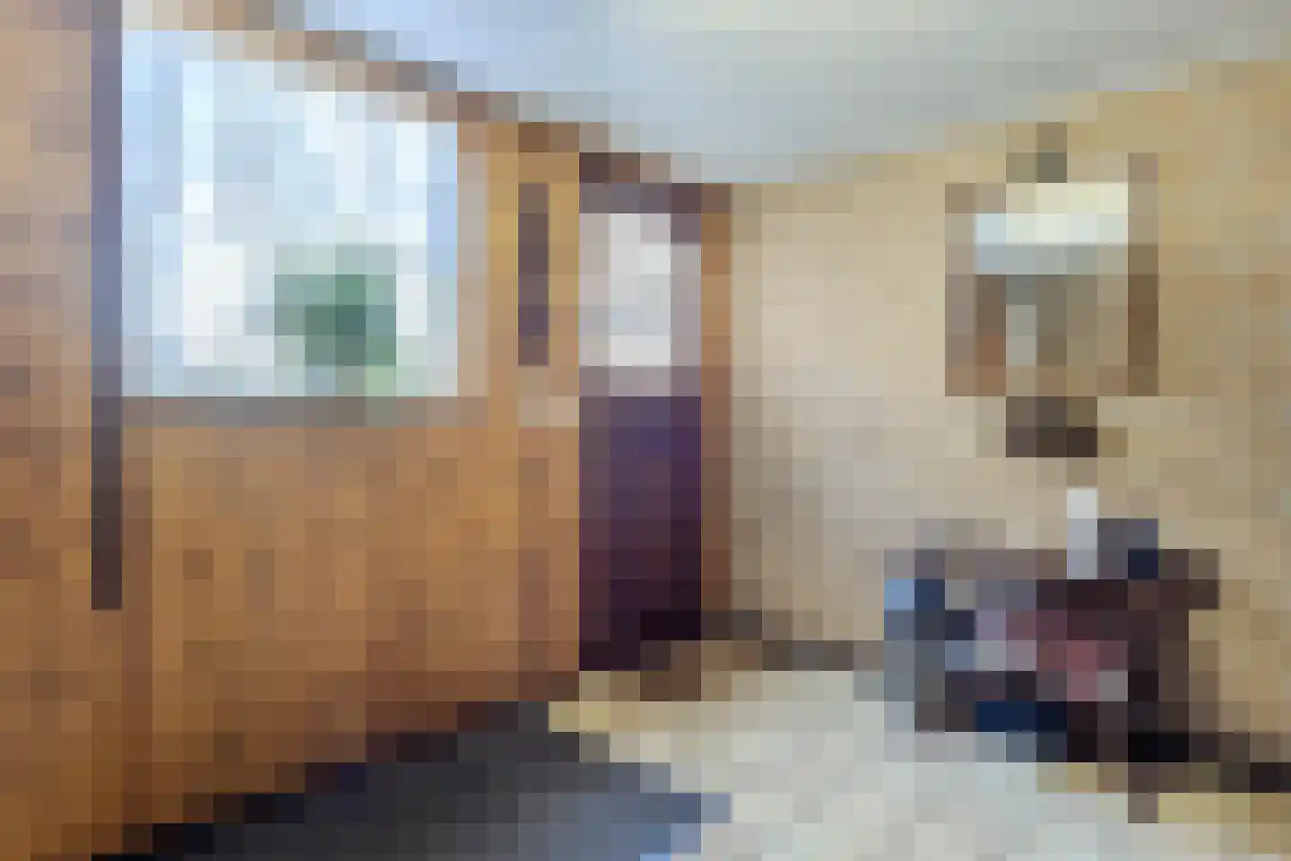 Borculoseweg 36 Barchem thumbnail 18