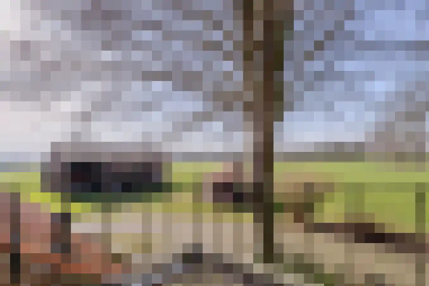 Borculoseweg 36 Barchem thumbnail 36