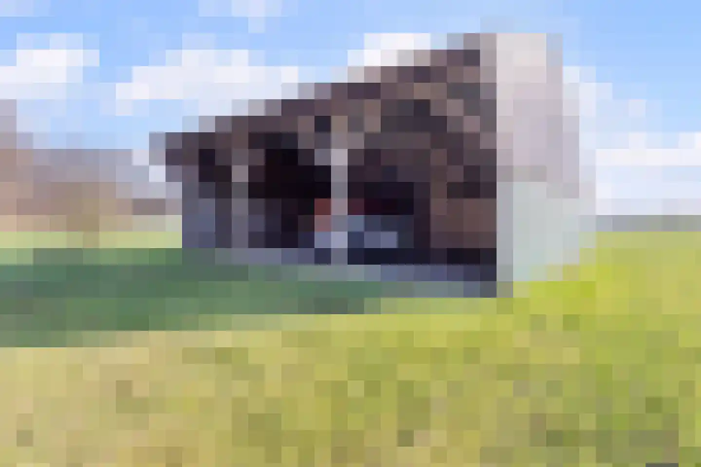 Borculoseweg 36 Barchem thumbnail 38