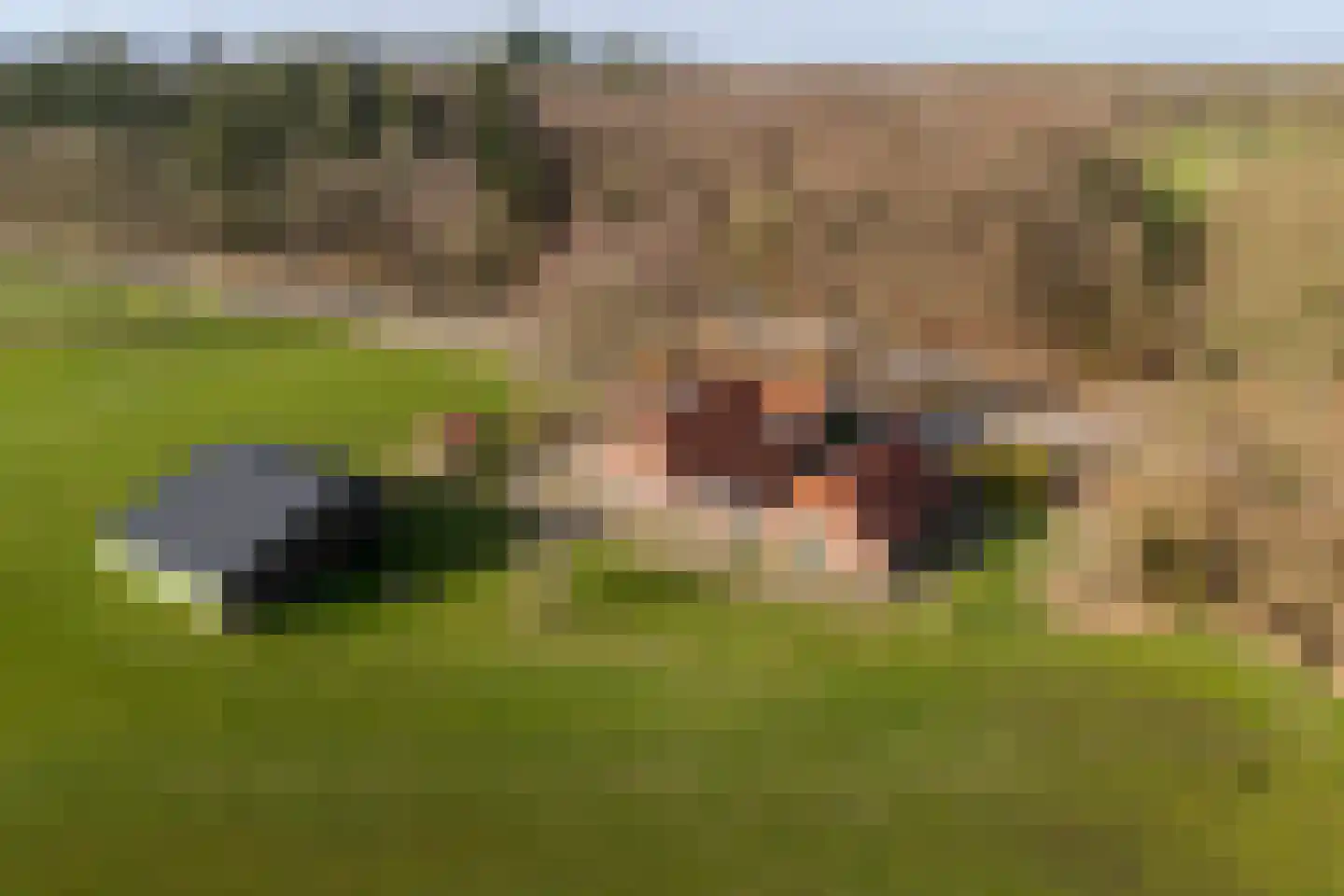 Borculoseweg 36 Barchem thumbnail 4