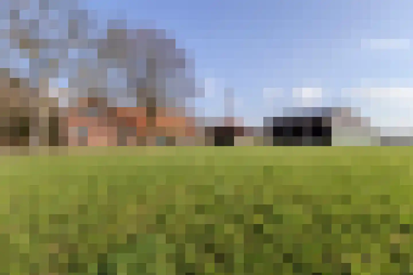 Borculoseweg 36 Barchem thumbnail 40