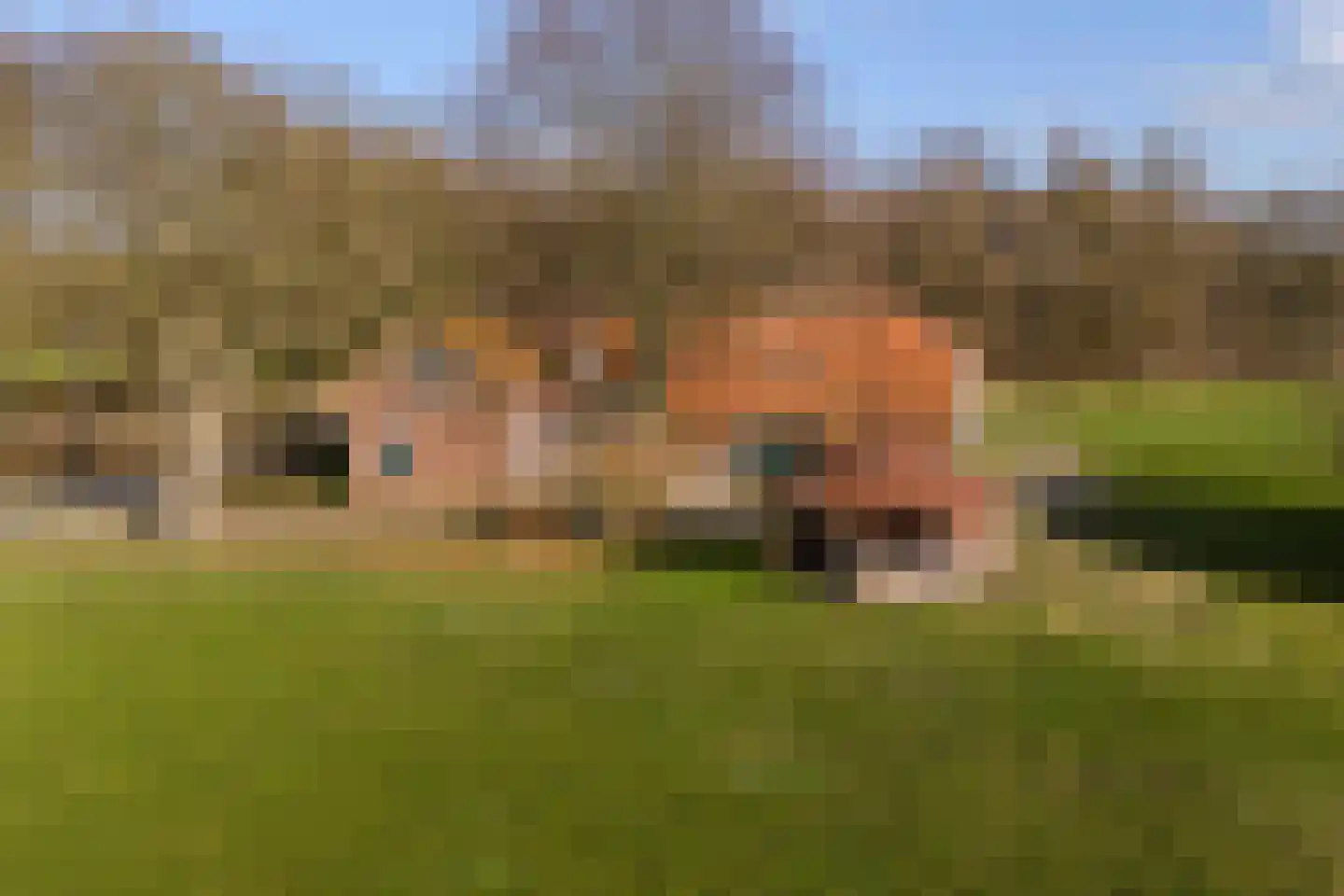 Borculoseweg 36 Barchem thumbnail 60