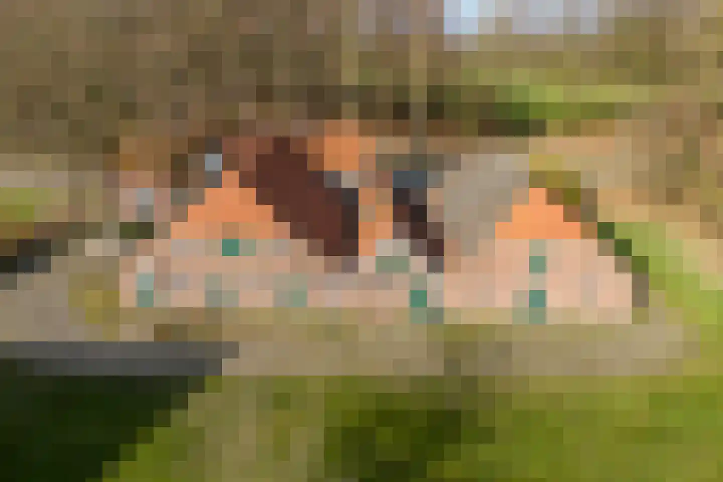 Borculoseweg 36 Barchem thumbnail 7