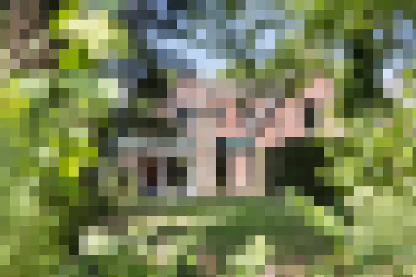 Borculoseweg 37 Neede thumbnail 33