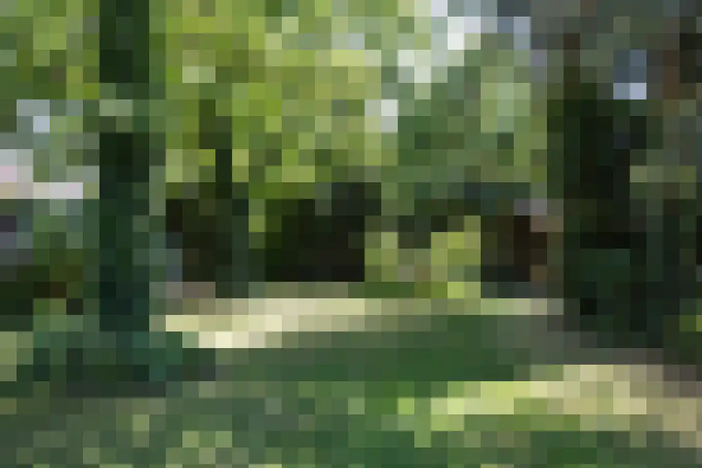 Borculoseweg 37 Neede thumbnail 35