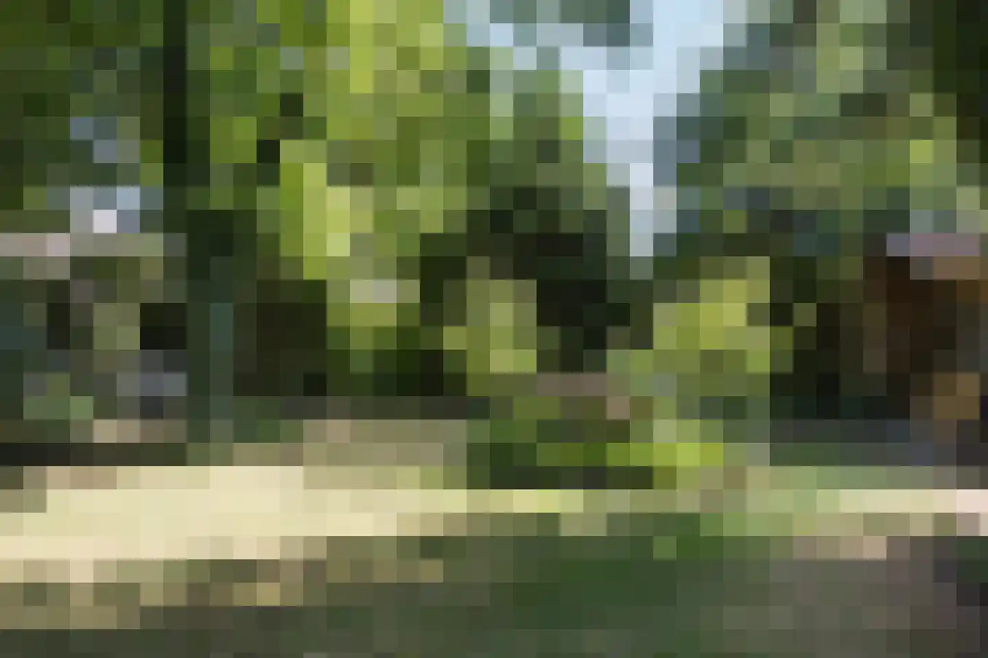 Borculoseweg 37 Neede thumbnail 36
