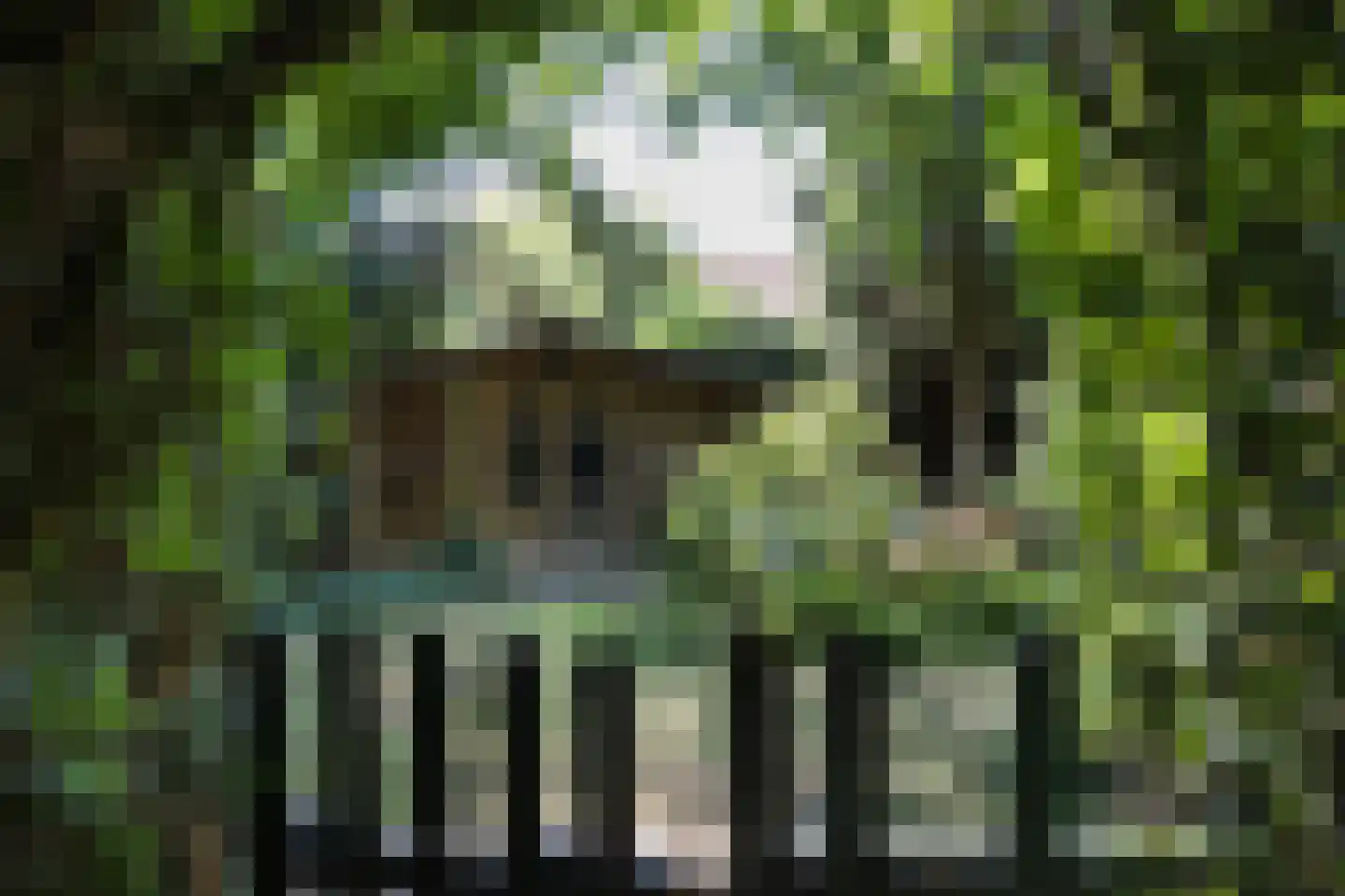Borculoseweg 37 Neede thumbnail 37
