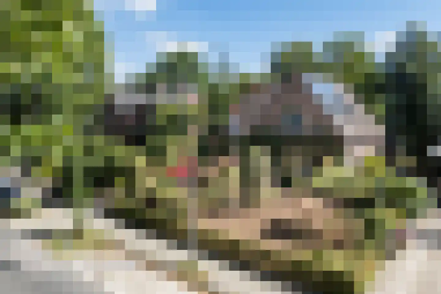 Borculoseweg 37 Neede thumbnail 39