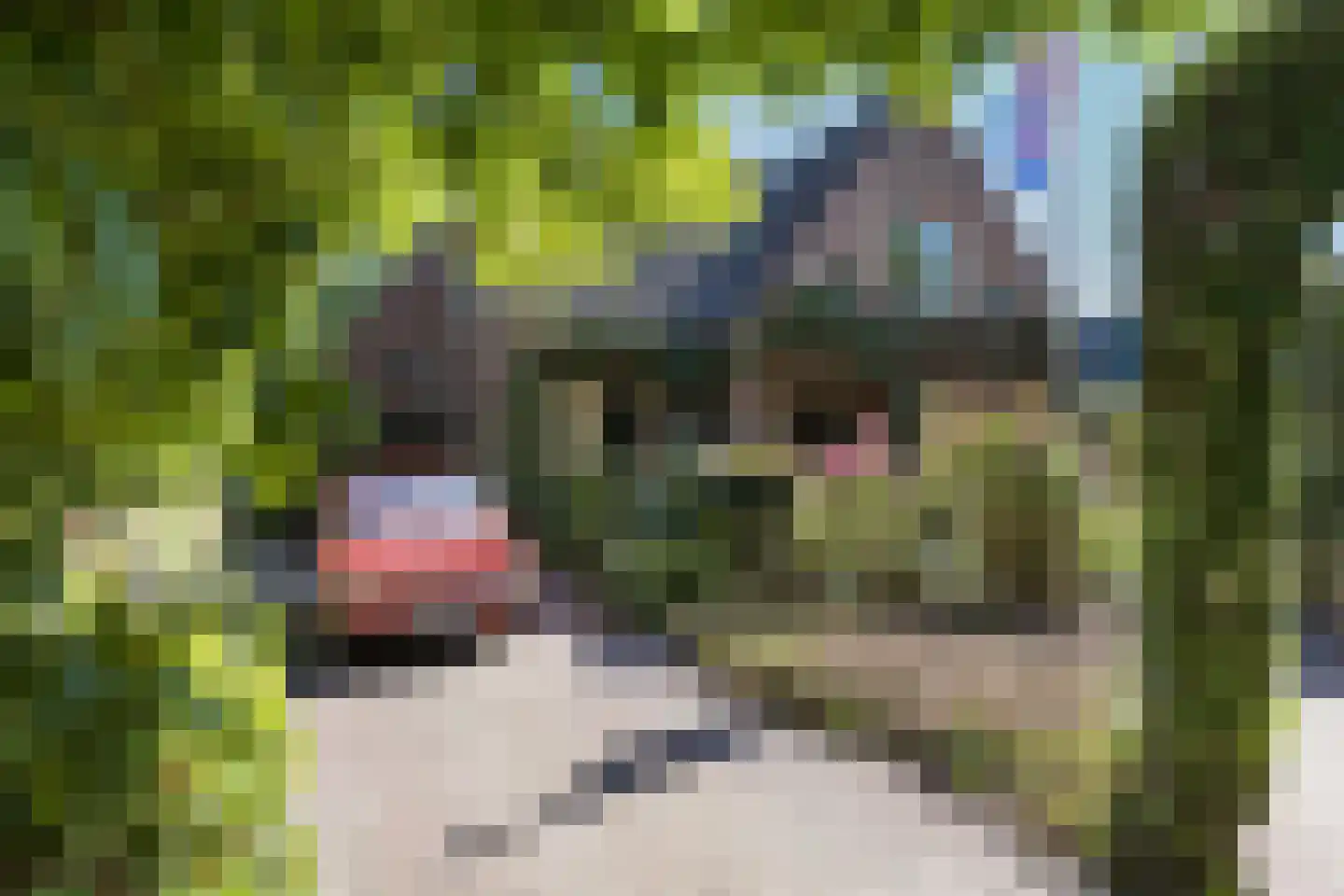 Borculoseweg 37 Neede thumbnail 4