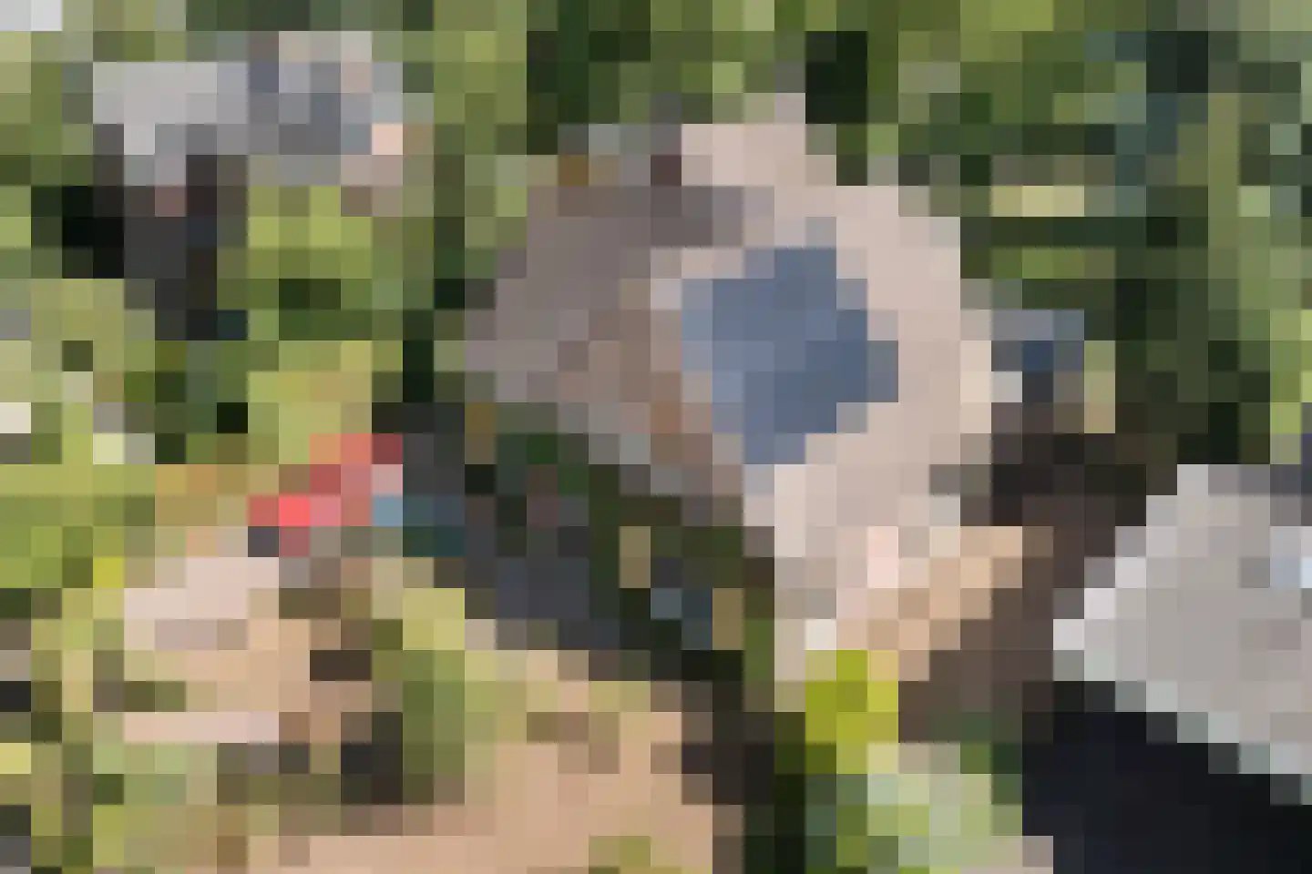 Borculoseweg 37 Neede thumbnail 41