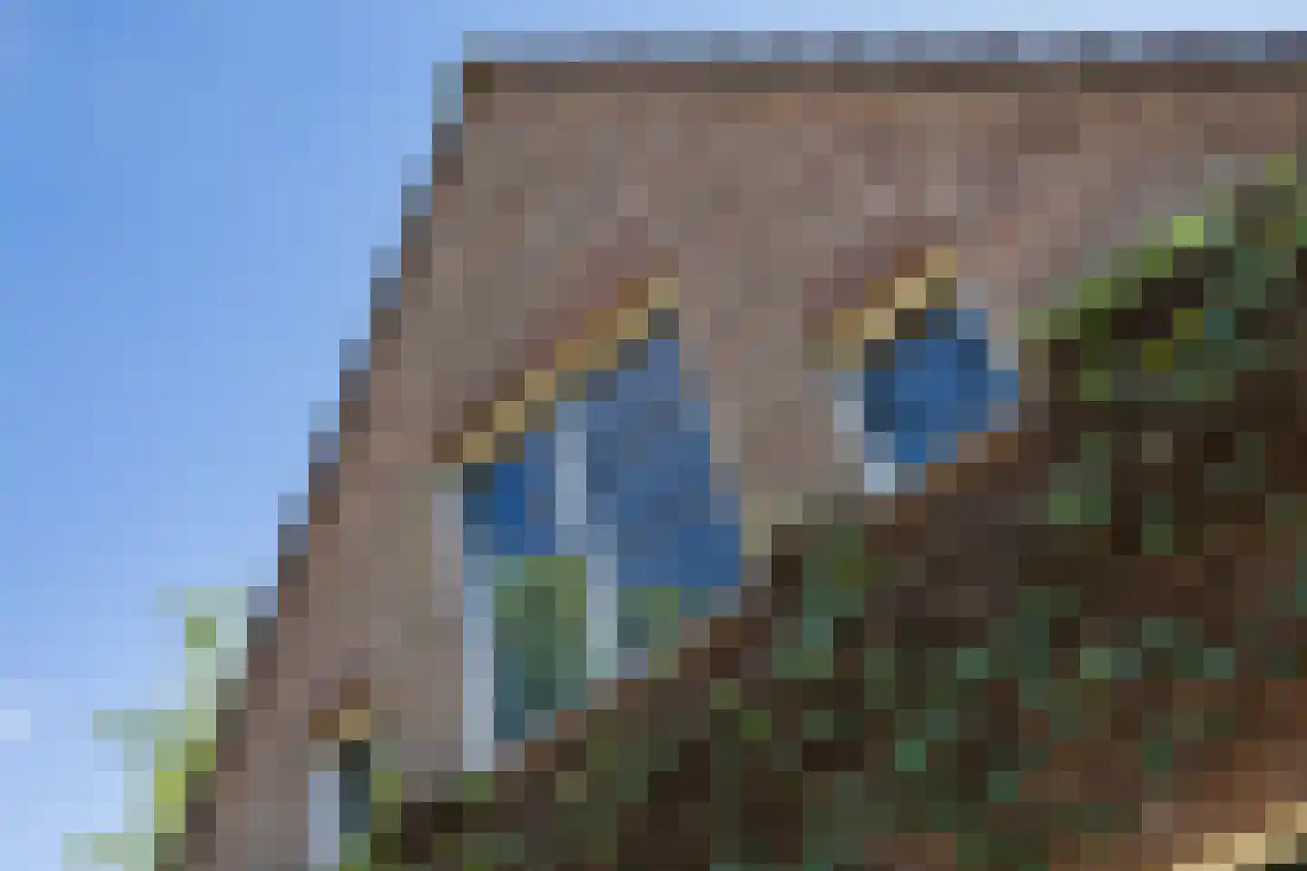 Borculoseweg 37 Neede thumbnail 42