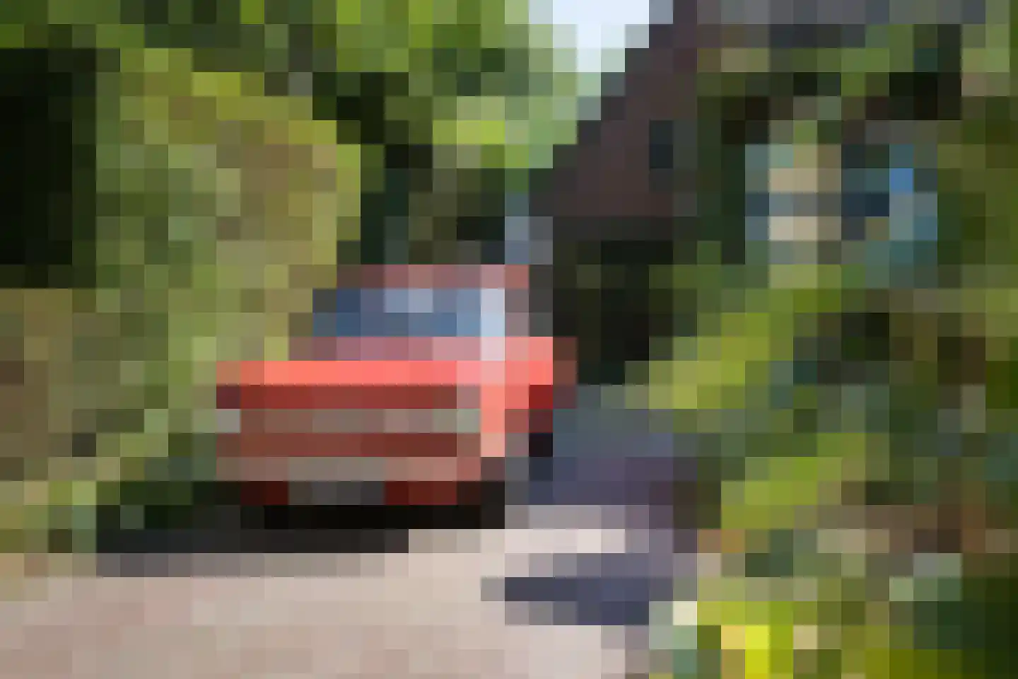Borculoseweg 37 Neede thumbnail 5