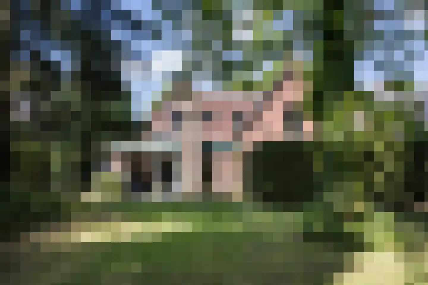 Borculoseweg 37 Neede thumbnail 6