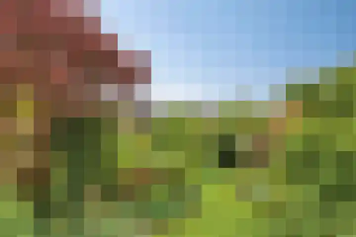 Borculoseweg 39 Ruurlo thumbnail 27