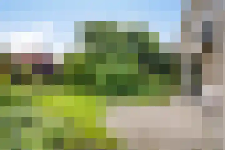 Borculoseweg 39 Ruurlo thumbnail 31