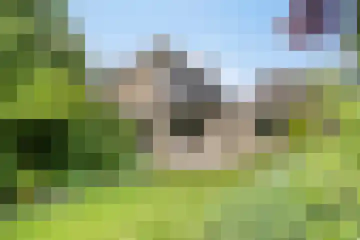 Borculoseweg 39 Ruurlo thumbnail 32