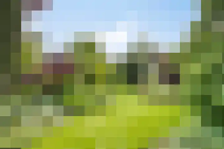 Borculoseweg 39 Ruurlo thumbnail 33