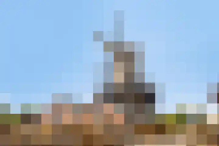 Borculoseweg 39 Ruurlo thumbnail 35