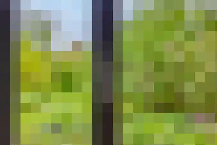 Borculoseweg 39 Ruurlo thumbnail 9