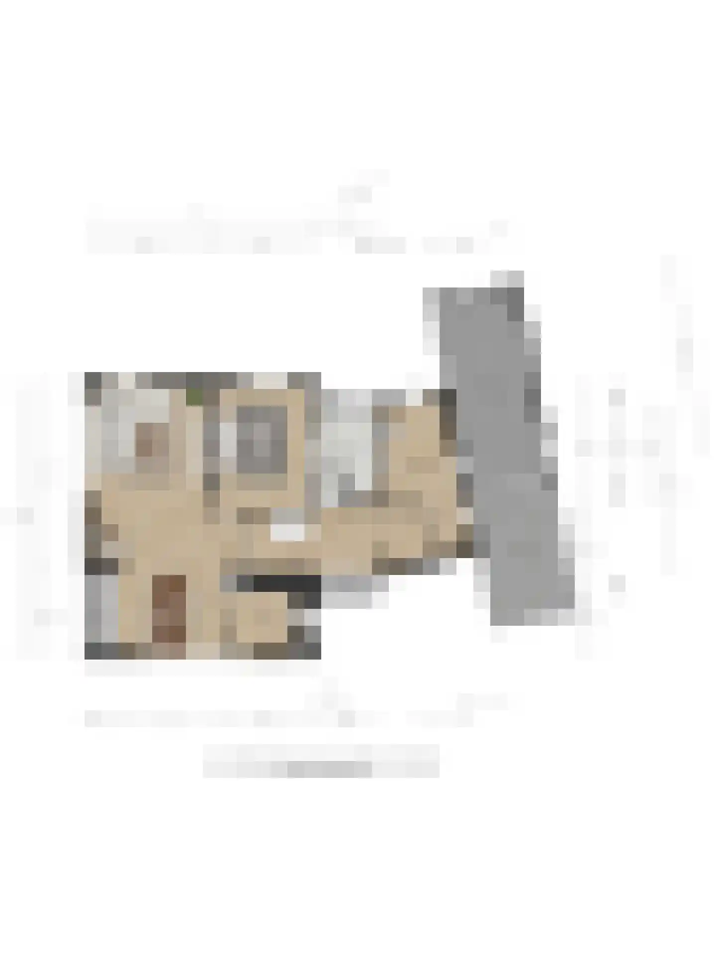 Borculoseweg 4 Diepenheim thumbnail 32