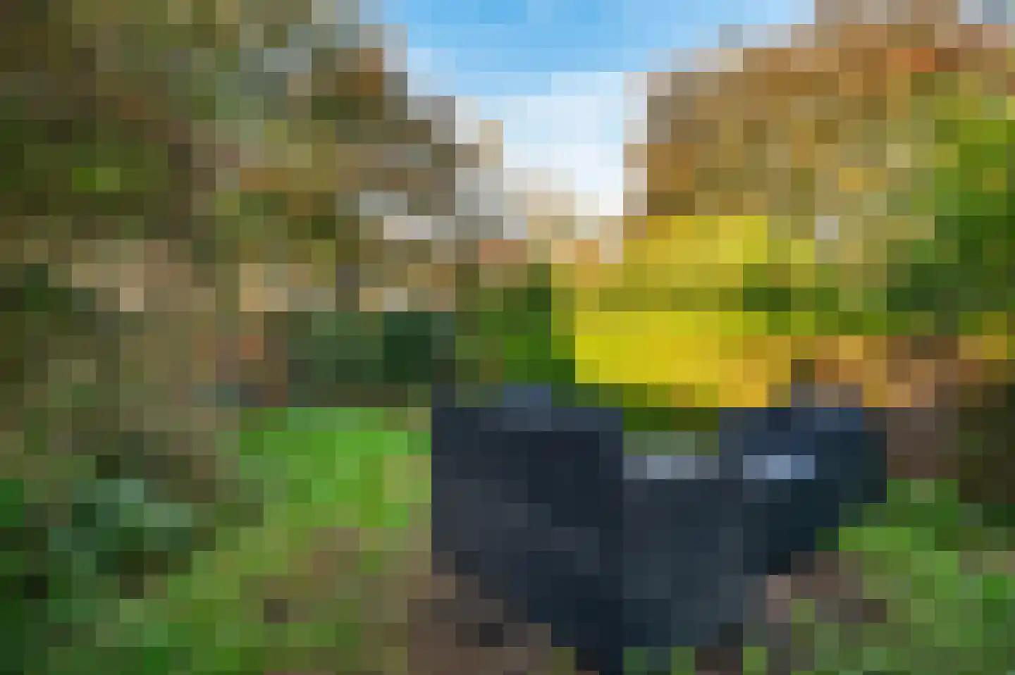 Borculoseweg 4 Diepenheim thumbnail 6