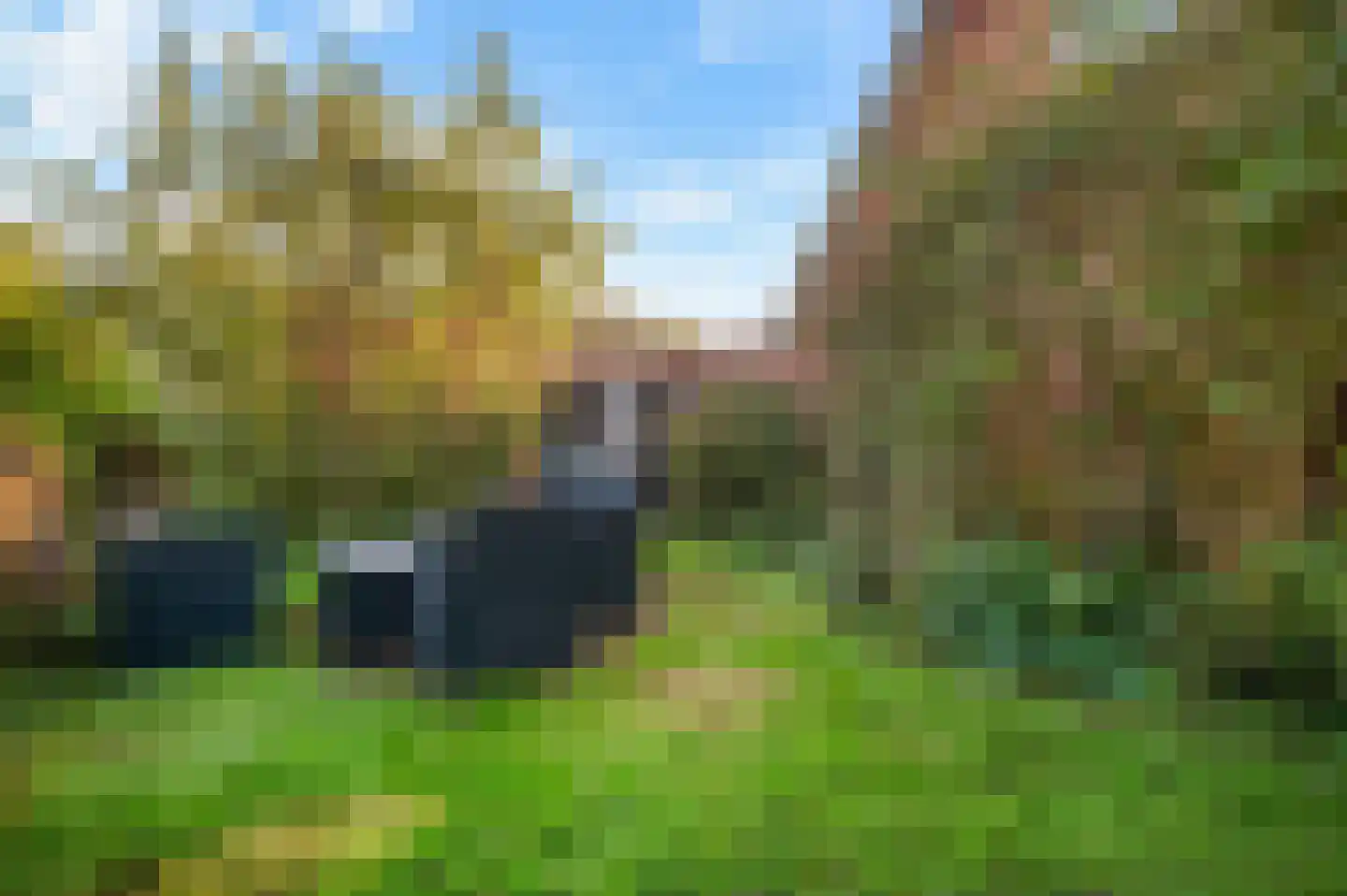 Borculoseweg 4 Diepenheim thumbnail 7
